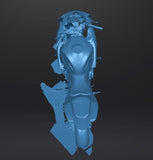 2006-2007 Suzuki GSXR600 Body/Chassis - 3D Scan